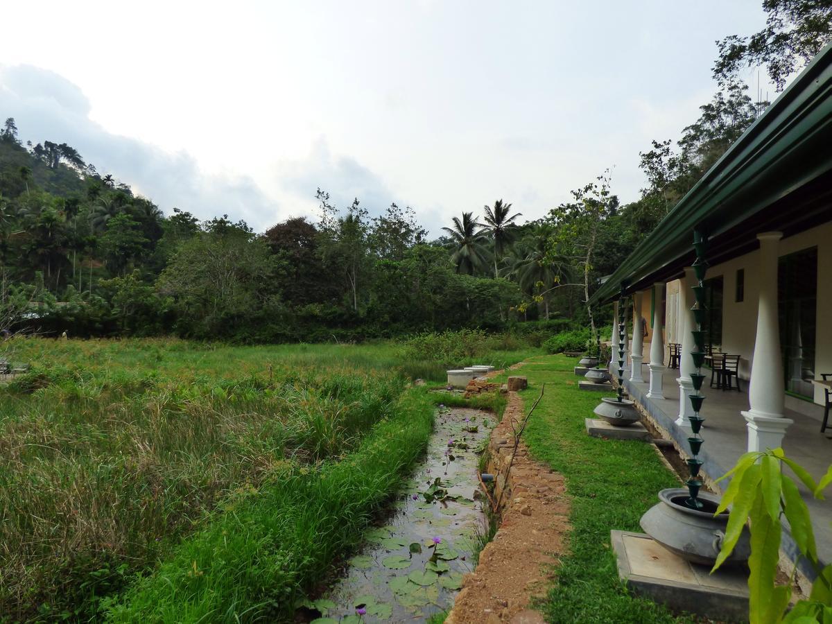 Explore Sinharaja Rain Forest Tour Camp Dombagoda Exterior foto